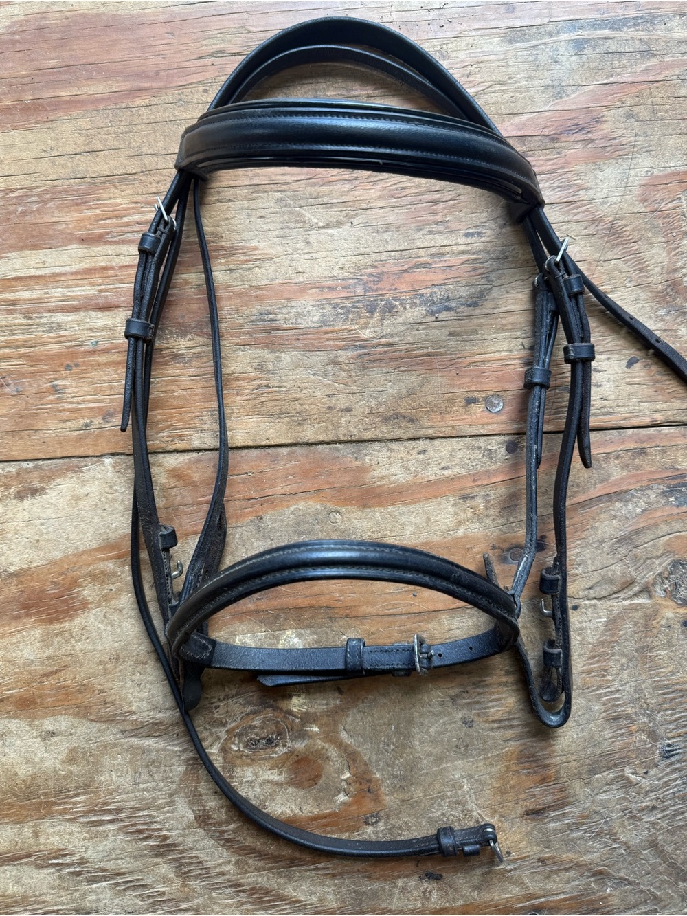 Black pony sized bridle